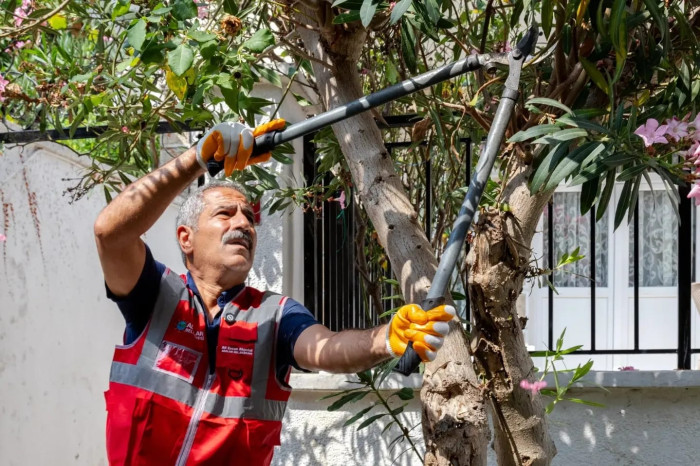 Adalar’a Başkan Eli Değiyor!